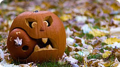 Halloween. Рестораны Москвы