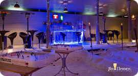 «Ян Примус» - Ice bar. Рестораны Москвы